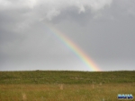 A rainbow