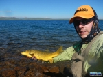 A yellowfish selfie