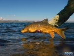 Releasing a bar of gold