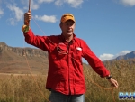 Peter Hayes