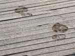 Frozen footprints