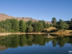 Meadow Farm