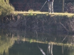 Dave fishing the wall