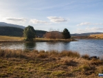 View over McKenzies