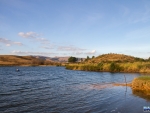 Bruce fishing McKenzies