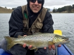 Another brown trout