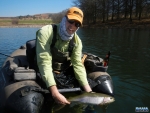Releasing a fish