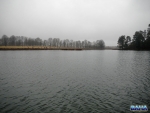 A misty afternoon at Lund\'s