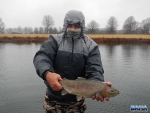 A chilly Nick at Lund\'s
