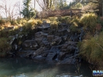The Old Hatchery