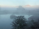 A misty morning
