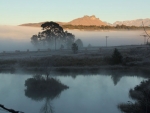 A misty morning at The Old Hatchery