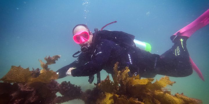 Exploring Shelly Beach (Under and on Top of the Water)