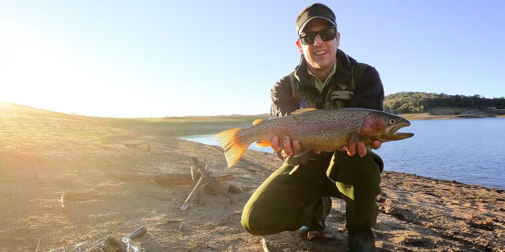 Lake Oberon Trout