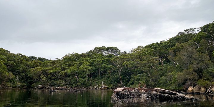 Fly Fishing Middle Harbour on a Hobie Outback