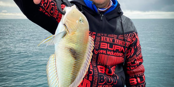 Two Days Fishing Moreton Bay