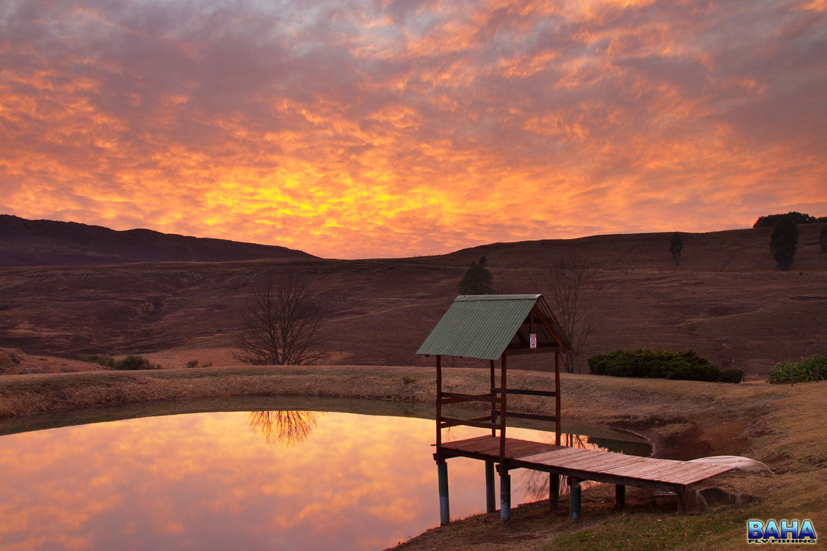 Back To Underberg