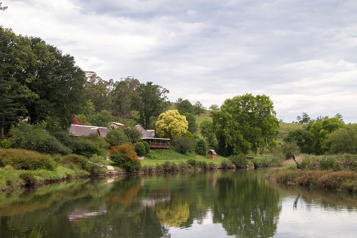 The Valentine’s Day Curse (Umzimkulu River Lodge Trip Report)