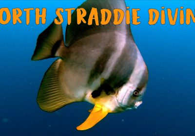 North Straddie Diving – May 2022