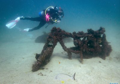 A Dive Duathlon