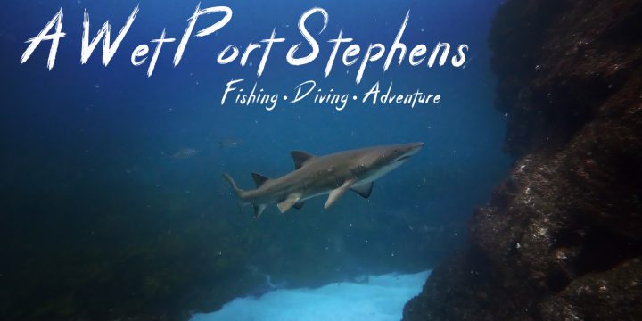 A Wet Port Stephens – Fishing and Diving – The Video