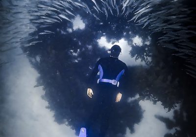 Freediving at Shelly Beach