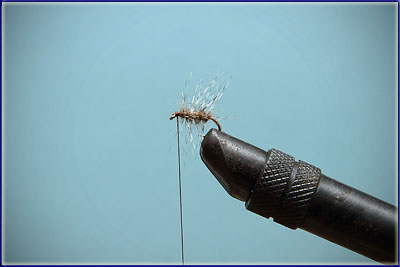 Step 6 of tying a Elk Hair Caddis