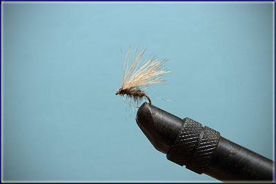 Step 8 of tying a Elk Hair Caddis