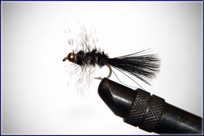 Step 10 of tying a Wooly Bugger