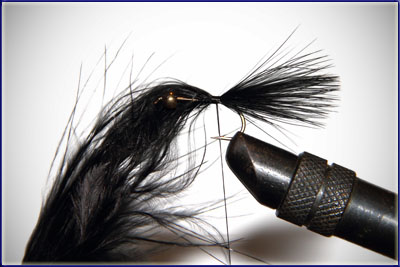 Step 2 of tying a Wooly Bugger