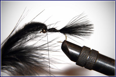 Step 3 of tying a Wooly Bugger