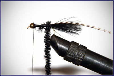 Step 6 of tying a Wooly Bugger