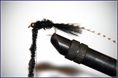 Step 7 of tying a Wooly Bugger