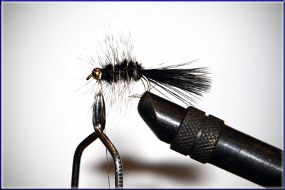 Step 9 of tying a Wooly Bugger