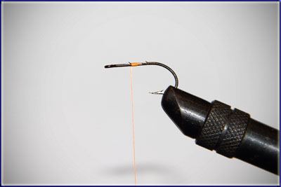 Step 1 of tying a Crazy Charlie