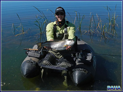 Another Underberg Himeville Trout Fishing Club Trip